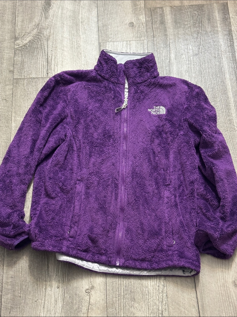The North Face Deep Purple Plush Full-Zip Fleece Jacket